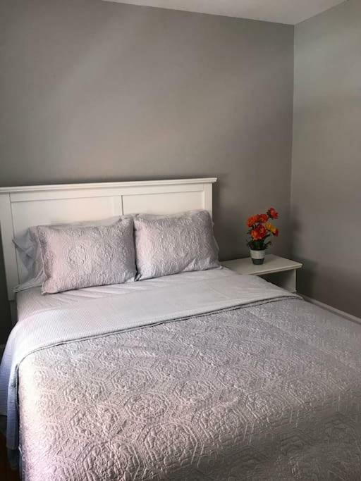 Bright, Clean, Private. In The Heart Of Downtown! Parking, Wi-Fi And Netflix Included Apartment Ottawa Exterior photo